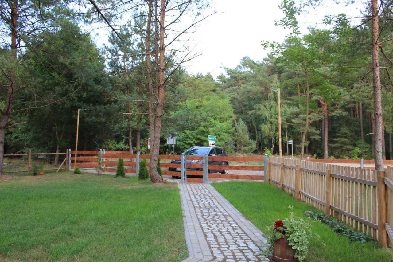 Koci Grzbiet Agroturystyka Dzierzazno Wielkie Esterno foto