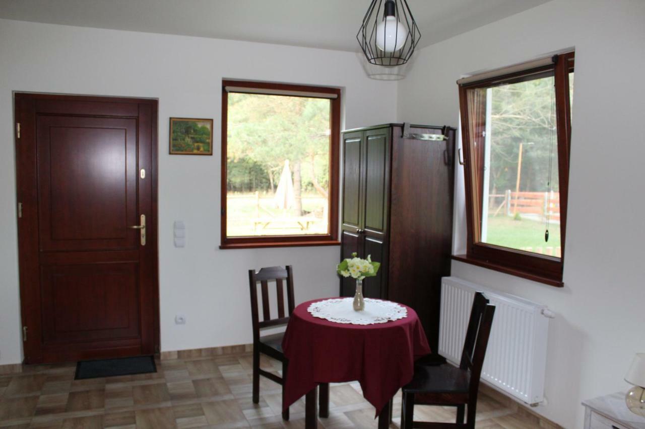 Koci Grzbiet Agroturystyka Dzierzazno Wielkie Esterno foto