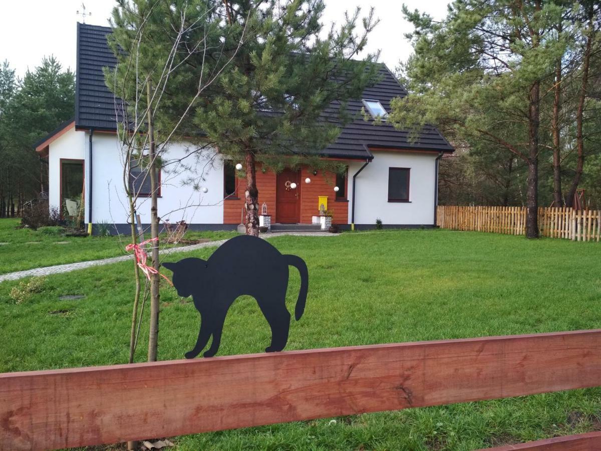 Koci Grzbiet Agroturystyka Dzierzazno Wielkie Esterno foto